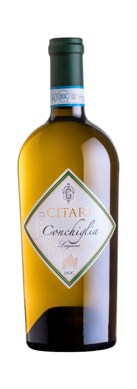 Citari Conchiglia Lugana